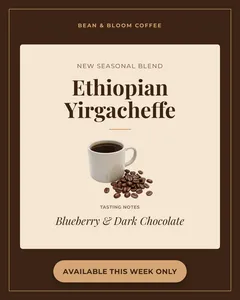 Coffee brand creative