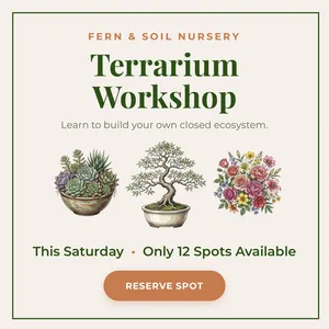 Social post creative